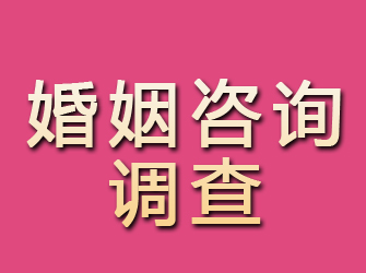 铜官山婚姻咨询调查